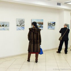 Відкриття виставки «Пейзажна Україна», 20.01.2017 р.