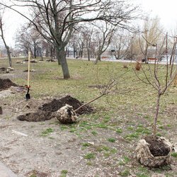 Створення Алеї Щастя, 18 березня 2017 р.