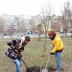 Створення Алеї Щастя, 18 березня 2017 р.