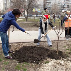 Створення Алеї Щастя, 18 березня 2017 р.