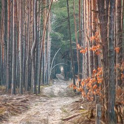 Фото Проекту «Чудо Планета»