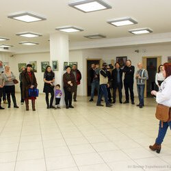 Відкриття виставки «Пейзажна Україна», 20.01.2017 р.