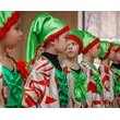 Зимоцвіт. Фотозвіт з відкриття виставки