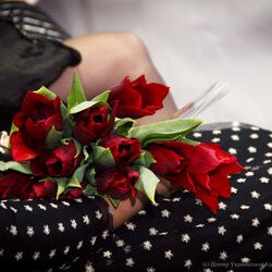 «Fashion скарбниця Чернігова — 2017», 4.03.2017 р.