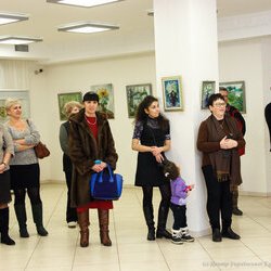 Відкриття виставки «Пейзажна Україна», 20.01.2017 р.