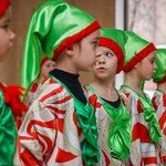 Зимоцвіт. Фотозвіт з відкриття виставки