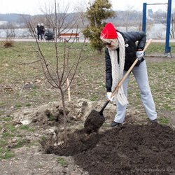  Олена Курта на створенні Алеї Щастя, 18 березня 2017 р.