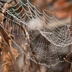 Фото Проекту «Чудо Планета»